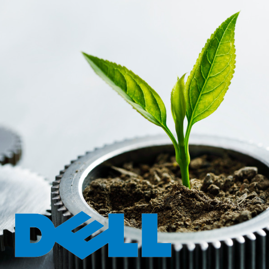 Nachhaltigkeit bei Dell
